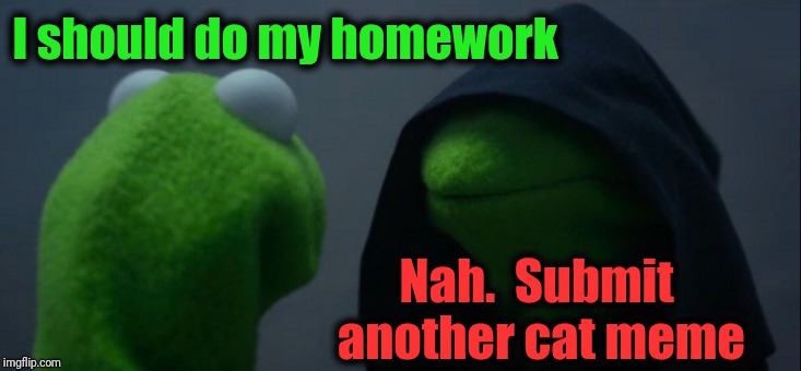 Evil Kermit Meme | I should do my homework Nah.  Submit another cat meme | image tagged in memes,evil kermit | made w/ Imgflip meme maker