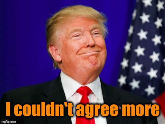 Trump Smile | I couldn't agree more | image tagged in trump smile | made w/ Imgflip meme maker