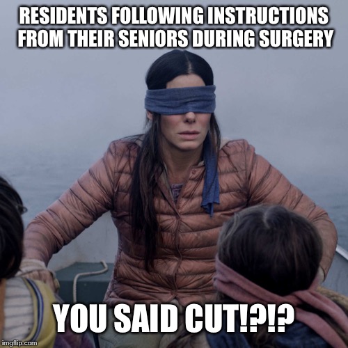 Bird Box Meme | RESIDENTS FOLLOWING INSTRUCTIONS FROM THEIR SENIORS DURING SURGERY; YOU SAID CUT!?!? | image tagged in memes,bird box | made w/ Imgflip meme maker