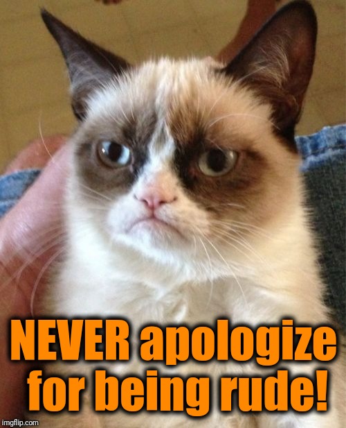 Grumpy Cat Meme | NEVER apologize for being rude! | image tagged in memes,grumpy cat | made w/ Imgflip meme maker