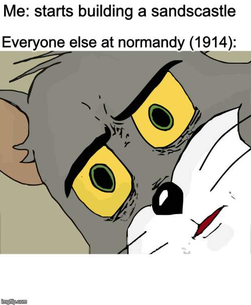 Unsettled Tom Meme | Me: starts building a sandscastle; Everyone else at normandy (1914): | image tagged in memes,unsettled tom | made w/ Imgflip meme maker
