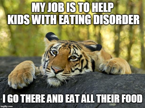 Confession Tiger | MY JOB IS TO HELP KIDS WITH EATING DISORDER; I GO THERE AND EAT ALL THEIR FOOD | image tagged in confession tiger | made w/ Imgflip meme maker