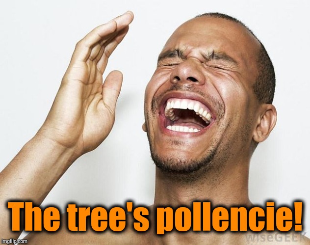 lol | The tree's pollencie! | image tagged in lol | made w/ Imgflip meme maker