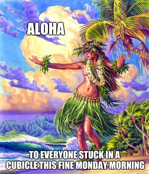 Mondays Suck | ALOHA; TO EVERYONE STUCK IN A CUBICLE THIS FINE MONDAY MORNING | image tagged in aloha,huwaii,monday,satire | made w/ Imgflip meme maker