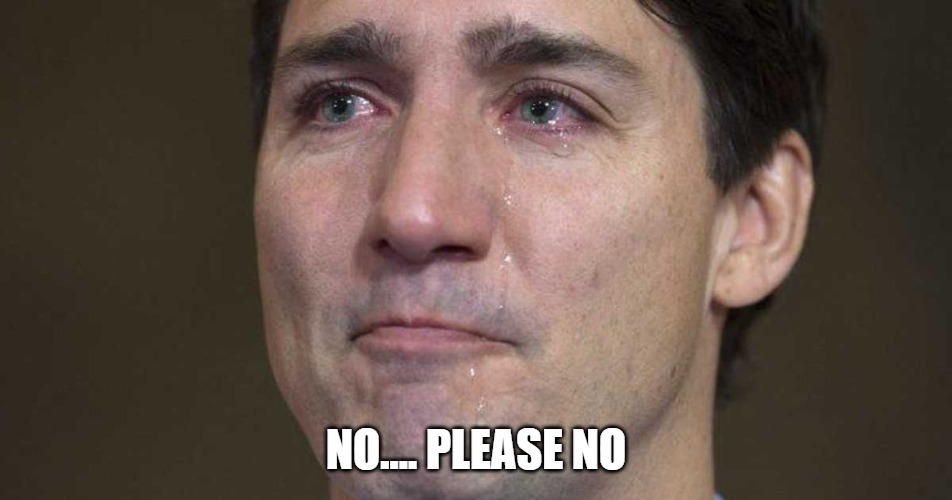 Trudeau crying | NO.... PLEASE NO | image tagged in trudeau crying | made w/ Imgflip meme maker