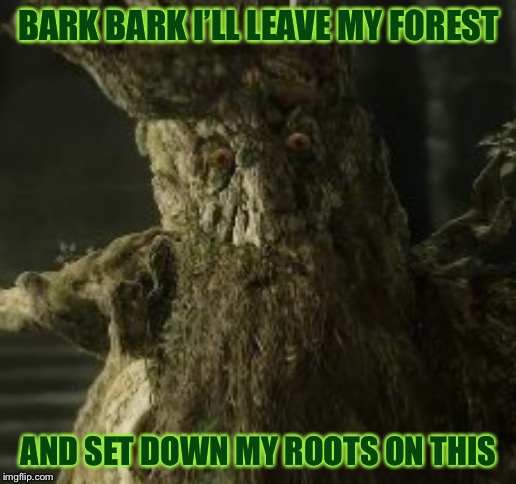 BARK BARK I’LL LEAVE MY FOREST AND SET DOWN MY ROOTS ON THIS | made w/ Imgflip meme maker
