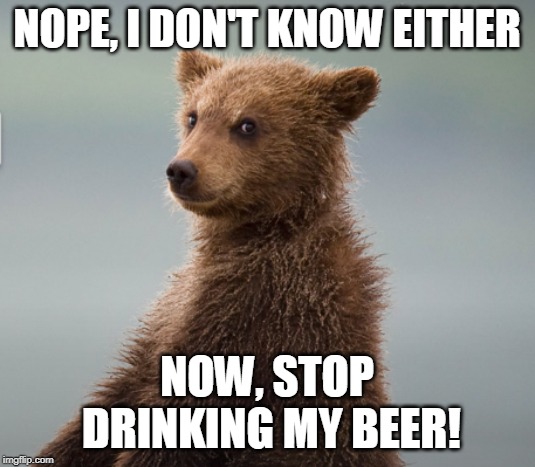 I like this bear's face | NOPE, I DON'T KNOW EITHER; NOW, STOP DRINKING MY BEER! | image tagged in freddie the bear,memes,jeremiah the bullfrog | made w/ Imgflip meme maker
