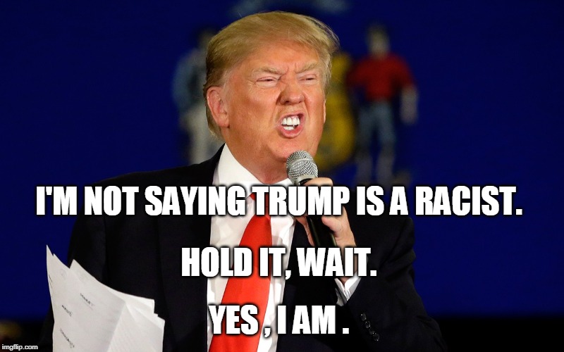 I'M NOT SAYING TRUMP IS A RACIST. HOLD IT, WAIT. YES , I AM . | image tagged in trump,racist | made w/ Imgflip meme maker
