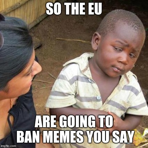 Third World Skeptical Kid | SO THE EU; ARE GOING TO BAN MEMES YOU SAY | image tagged in memes,third world skeptical kid | made w/ Imgflip meme maker