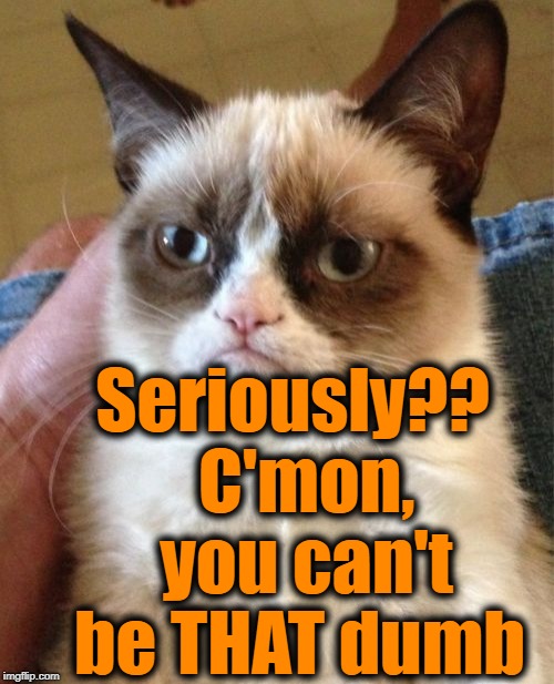 Grumpy Cat Meme | Seriously??  C'mon,  you can't be THAT dumb | image tagged in memes,grumpy cat | made w/ Imgflip meme maker