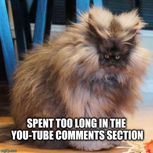  SPENT TOO LONG IN THE YOU-TUBE COMMENTS SECTION | image tagged in cat,youtube,comments,negativity,malignant narcissism,what if i told you | made w/ Imgflip meme maker