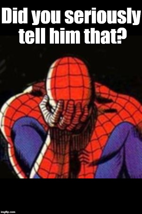 Sad Spiderman Meme | Did you seriously tell him that? | image tagged in memes,sad spiderman,spiderman | made w/ Imgflip meme maker