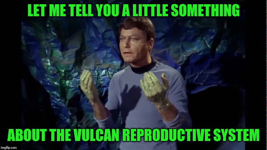 LET ME TELL YOU A LITTLE SOMETHING ABOUT THE VULCAN REPRODUCTIVE SYSTEM | made w/ Imgflip meme maker