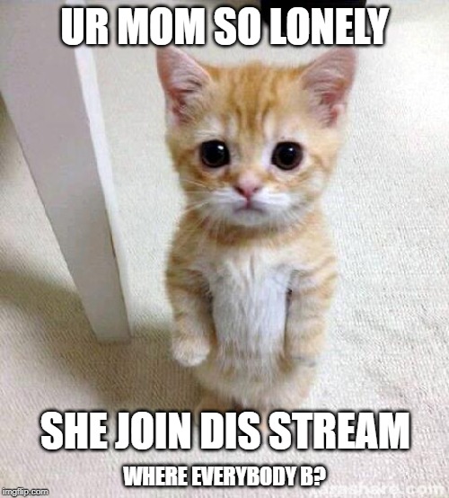 This stream needs miracle gro | UR MOM SO LONELY; SHE JOIN DIS STREAM; WHERE EVERYBODY B? | image tagged in memes,cute cat,your mom,stream | made w/ Imgflip meme maker