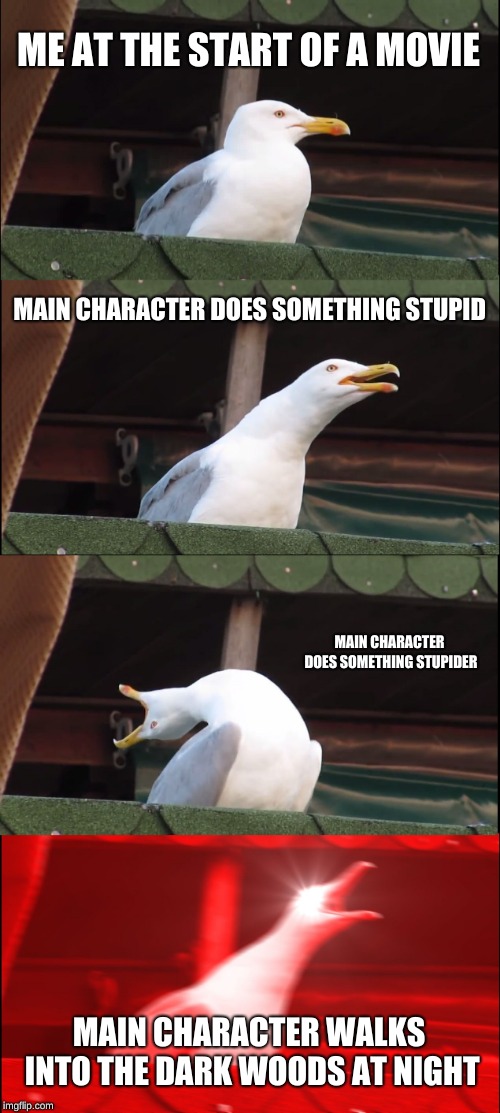 Inhaling Seagull | ME AT THE START OF A MOVIE; MAIN CHARACTER DOES SOMETHING STUPID; MAIN CHARACTER DOES SOMETHING STUPIDER; MAIN CHARACTER WALKS INTO THE DARK WOODS AT NIGHT | image tagged in memes,inhaling seagull | made w/ Imgflip meme maker