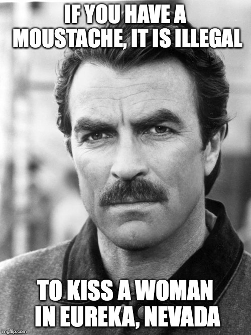 moustache | IF YOU HAVE A MOUSTACHE, IT IS ILLEGAL; TO KISS A WOMAN IN EUREKA, NEVADA | image tagged in moustache | made w/ Imgflip meme maker