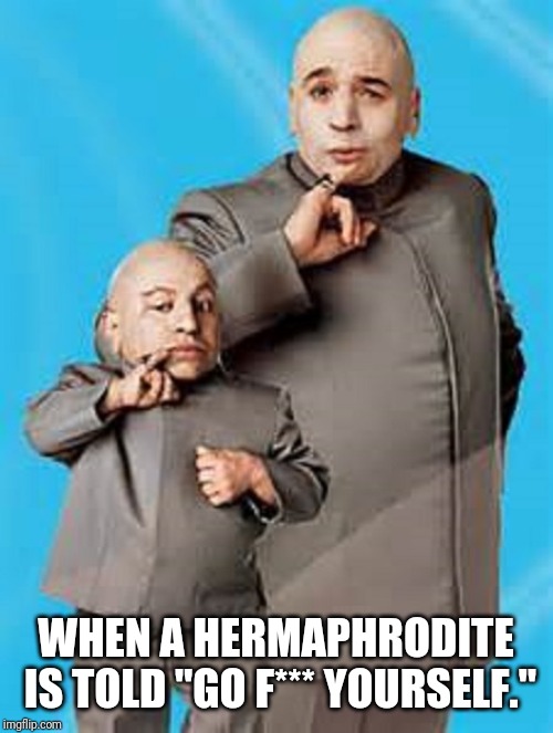 Mini me | WHEN A HERMAPHRODITE IS TOLD "GO F*** YOURSELF." | image tagged in mini me | made w/ Imgflip meme maker