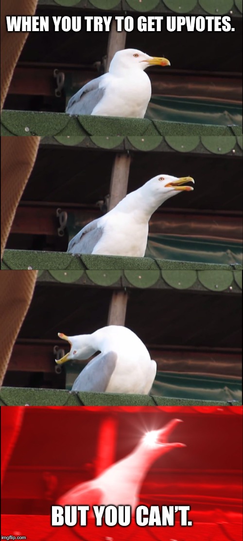 Inhaling Seagull | WHEN YOU TRY TO GET UPVOTES. BUT YOU CAN’T. | image tagged in memes,inhaling seagull | made w/ Imgflip meme maker