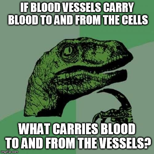 Philosoraptor Meme | IF BLOOD VESSELS CARRY BLOOD TO AND FROM THE CELLS; WHAT CARRIES BLOOD TO AND FROM THE VESSELS? | image tagged in memes,philosoraptor | made w/ Imgflip meme maker