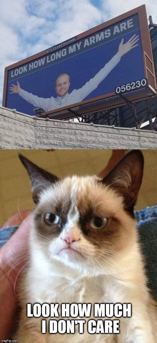 What the... | LOOK HOW MUCH I DON'T CARE | image tagged in memes,grumpy cat,signs/billboards | made w/ Imgflip meme maker