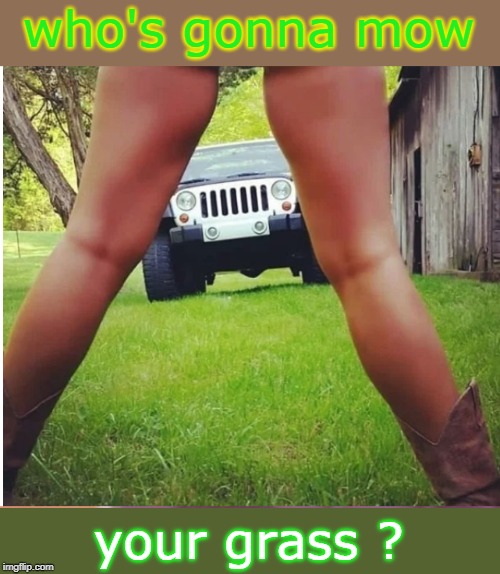 who's gonna mow; your grass ? | made w/ Imgflip meme maker