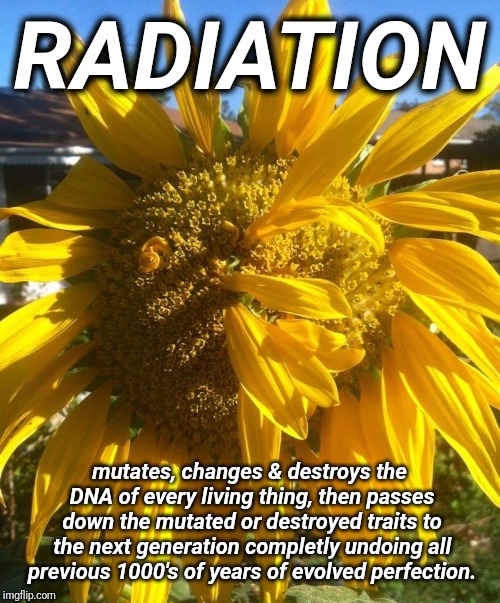 Fukushima: Just beginning | RADIATION; mutates, changes & destroys the DNA of every living thing, then passes down the mutated or destroyed traits to the next generation completly undoing all previous 1000's of years of evolved perfection. | image tagged in fukushima,radiation,mutant,nuclear,justjeff | made w/ Imgflip meme maker