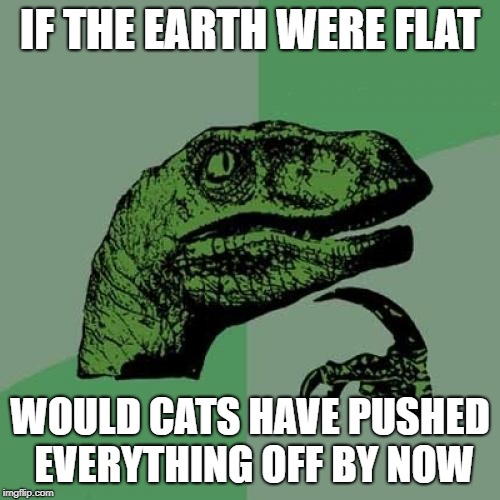 Philosoraptor | IF THE EARTH WERE FLAT; WOULD CATS HAVE PUSHED EVERYTHING OFF BY NOW | image tagged in memes,philosoraptor | made w/ Imgflip meme maker