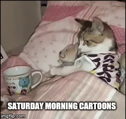 SATURDAY MORNING CARTOONS | image tagged in gifs | made w/ Imgflip video-to-gif maker