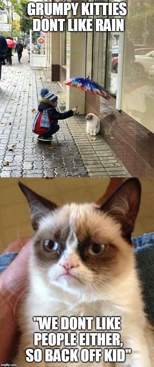 KITTIES IN THE RAIN | GRUMPY KITTIES DONT LIKE RAIN; "WE DONT LIKE PEOPLE EITHER, SO BACK OFF KID" | image tagged in memes,grumpy cat,rain,umbrella | made w/ Imgflip meme maker