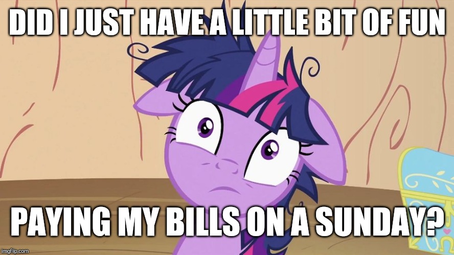 What is life? | DID I JUST HAVE A LITTLE BIT OF FUN; PAYING MY BILLS ON A SUNDAY? | image tagged in messy twilight sparkle,memes,paying the bills,sunday | made w/ Imgflip meme maker