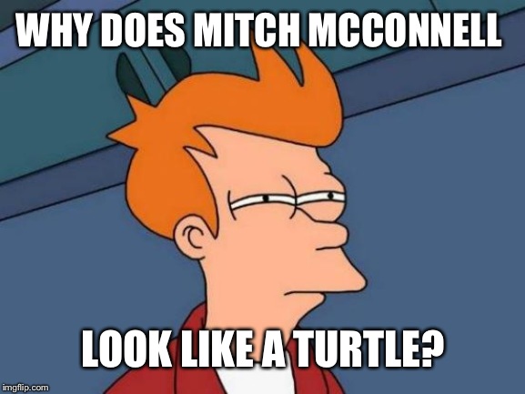 Futurama Fry Meme | WHY DOES MITCH MCCONNELL; LOOK LIKE A TURTLE? | image tagged in memes,futurama fry | made w/ Imgflip meme maker