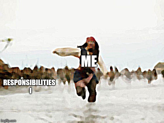 Jack Sparrow Being Chased | ME; RESPONSIBILITIES  I | image tagged in memes,jack sparrow being chased | made w/ Imgflip meme maker