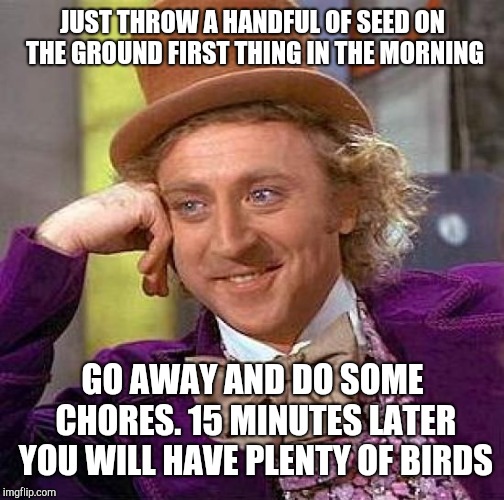 Creepy Condescending Wonka Meme | JUST THROW A HANDFUL OF SEED ON THE GROUND FIRST THING IN THE MORNING GO AWAY AND DO SOME CHORES. 15 MINUTES LATER YOU WILL HAVE PLENTY OF B | image tagged in memes,creepy condescending wonka | made w/ Imgflip meme maker