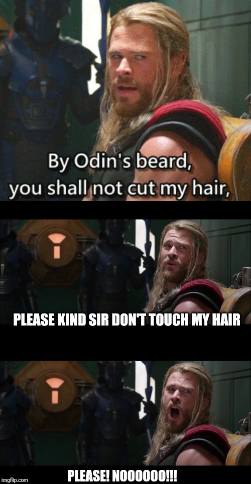 PLEASE KIND SIR DON'T TOUCH MY HAIR PLEASE! NOOOOOO!!! | made w/ Imgflip meme maker