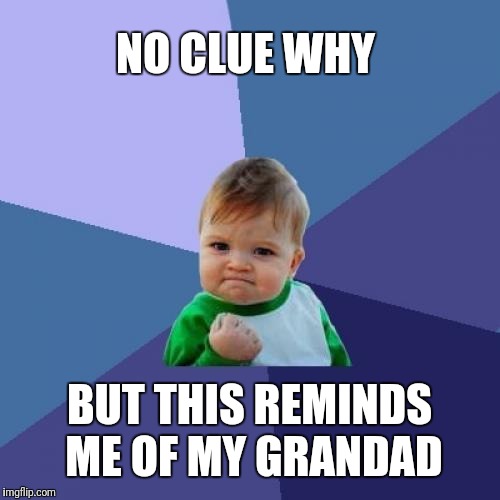 Success Kid | NO CLUE WHY; BUT THIS REMINDS ME OF MY GRANDAD | image tagged in memes,success kid | made w/ Imgflip meme maker