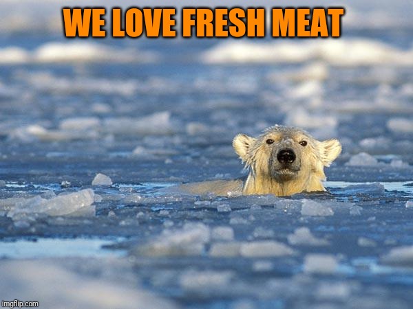 Ice Bucket Challenge? | WE LOVE FRESH MEAT | image tagged in ice bucket challenge | made w/ Imgflip meme maker