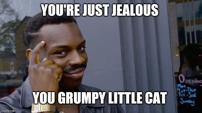 Roll Safe Think About It Meme | YOU'RE JUST JEALOUS YOU GRUMPY LITTLE CAT | image tagged in memes,roll safe think about it | made w/ Imgflip meme maker