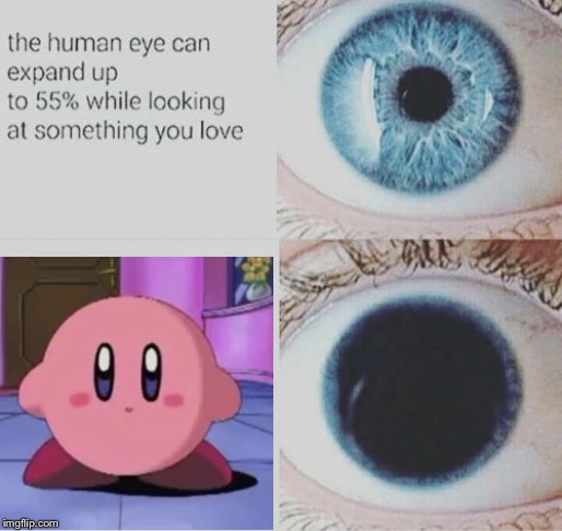 Is there really anything more to be said? | image tagged in kirby,pupil expands,memes | made w/ Imgflip meme maker