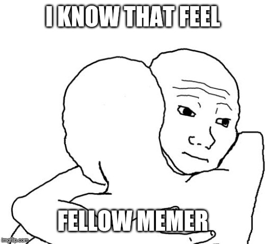 I feel you bro | I KNOW THAT FEEL FELLOW MEMER | image tagged in i feel you bro | made w/ Imgflip meme maker