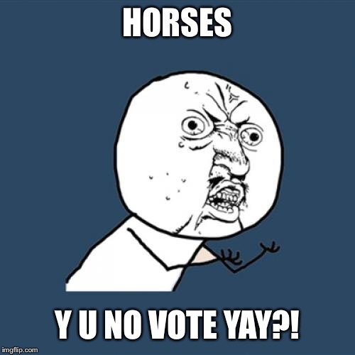 Y U No Meme | HORSES; Y U NO VOTE YAY?! | image tagged in memes,y u no | made w/ Imgflip meme maker