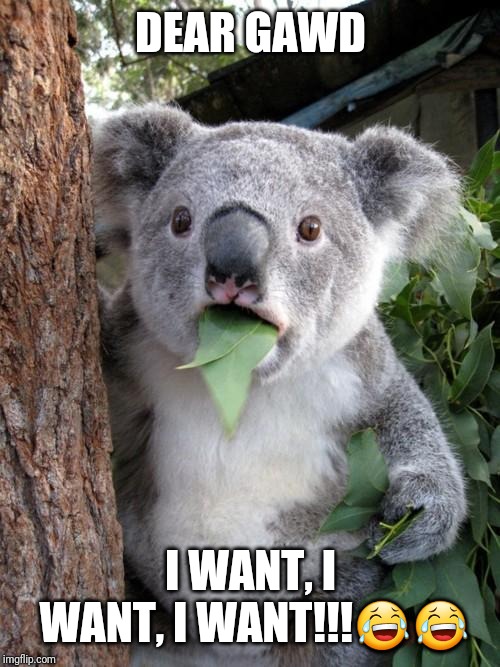 Surprised Koala Meme | DEAR GAWD I WANT, I WANT, I WANT!!!?? | image tagged in memes,surprised koala | made w/ Imgflip meme maker