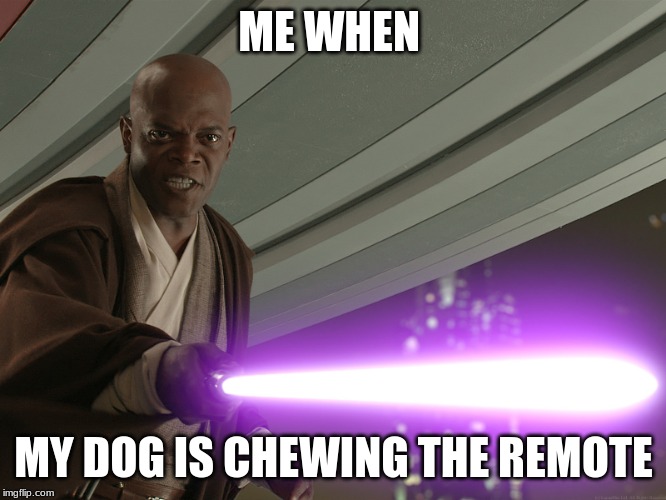 Samuel Star Was | ME WHEN; MY DOG IS CHEWING THE REMOTE | image tagged in samuel star was | made w/ Imgflip meme maker