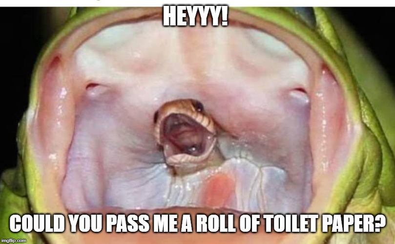 HEYYY! COULD YOU PASS ME A ROLL OF TOILET PAPER? | image tagged in snakepit | made w/ Imgflip meme maker