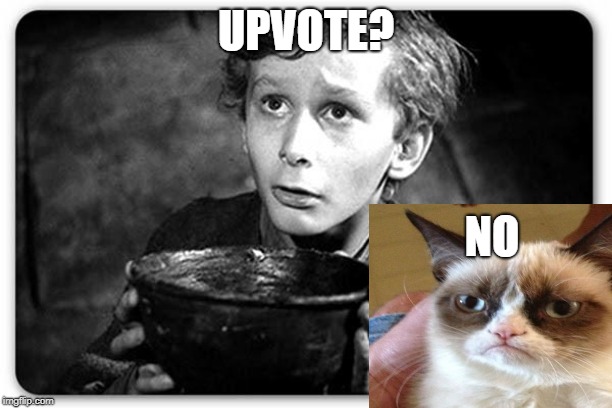 Why kno upvote | UPVOTE? NO | image tagged in funny,memes,beggar,grumpy cat | made w/ Imgflip meme maker