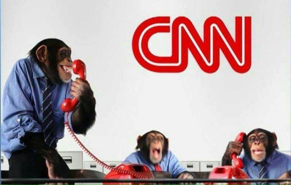 monkeys at cnn Blank Meme Template