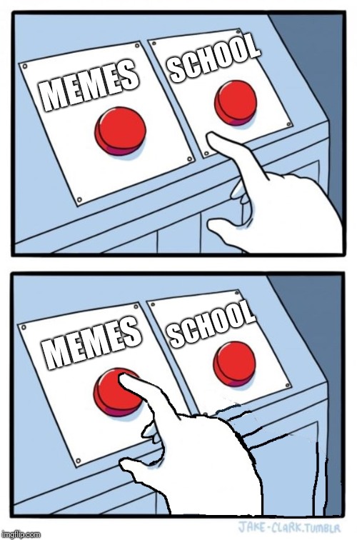 Two buttons, One pressed | SCHOOL; MEMES; SCHOOL; MEMES | image tagged in two buttons one pressed | made w/ Imgflip meme maker