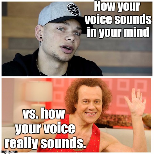 How you really sound | How your voice sounds in your mind; vs. how your voice really sounds. | image tagged in memes | made w/ Imgflip meme maker