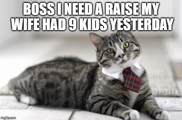 i need a raise | BOSS I NEED A RAISE MY WIFE HAD 9 KIDS YESTERDAY | image tagged in 9 kids,raise | made w/ Imgflip meme maker