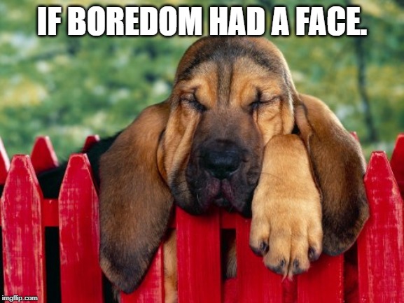 IF BOREDOM HAD A FACE. | made w/ Imgflip meme maker
