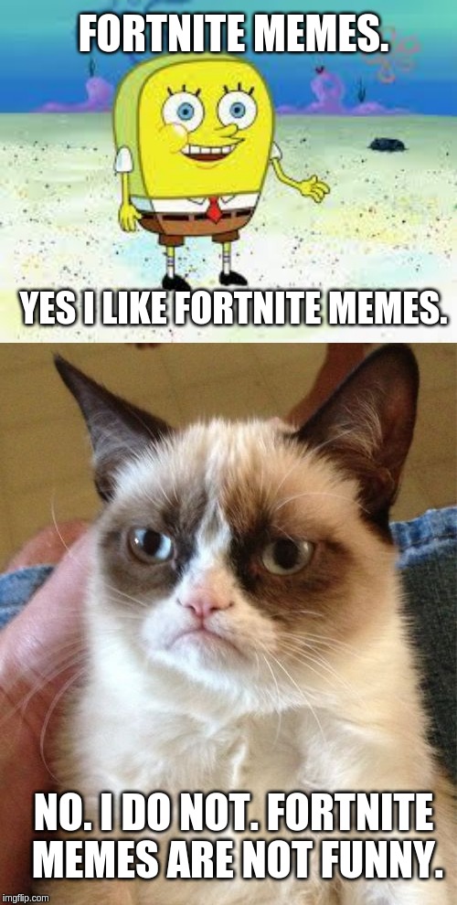 FORTNITE MEMES. YES I LIKE FORTNITE MEMES. NO. I DO NOT. FORTNITE MEMES ARE NOT FUNNY. | image tagged in memes,grumpy cat,normal spongebob | made w/ Imgflip meme maker